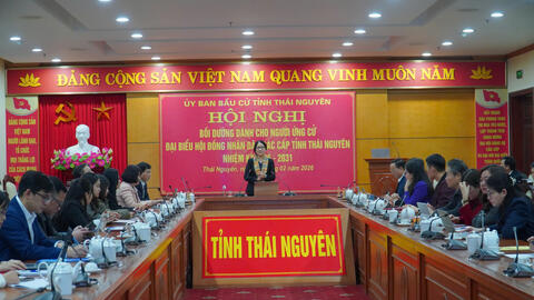 Giám đốc Đại học Thái Nguyên tham dự Hội nghị bồi dưỡng cho người ứng cử đại biểu HĐND các cấp