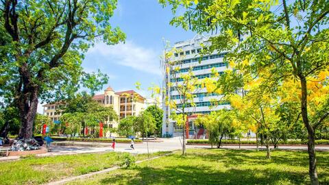 Trường Đại học Sư phạm – Đại học Thái Nguyên tổ chức thi năng khiếu Âm nhạc đợt 2 năm 2026