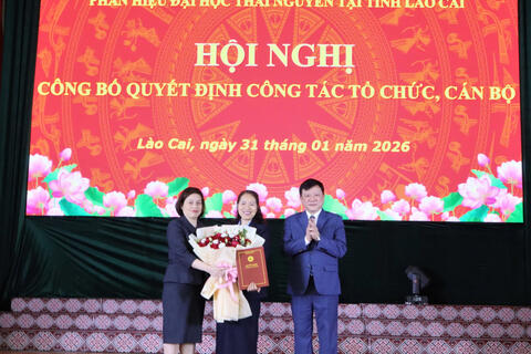 Công bố Quyết định về công tác tổ chức, cán bộ