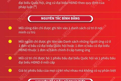 Nguyên tắc bầu cử đại biểu Quốc hội, đại biểu HĐND