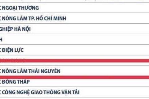 Trường Đại học Nông Lâm tăng 10 bậc trên bảng xếp hạng Webometrics năm 2026