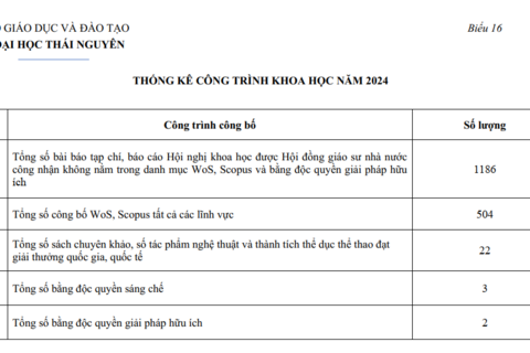 Biểu 16. Thống kê công trình khoa học năm 2024