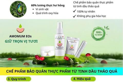6 ý tưởng sáng tạo của sinh viên Trường Đại học Nông Lâm – Đại học Thái Nguyên vào vòng chung kết Cuộc thi Đổi mới sáng tạo năm 2025